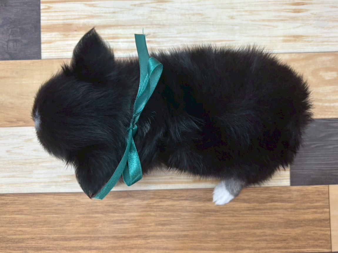 赤ちゃん写真3-3