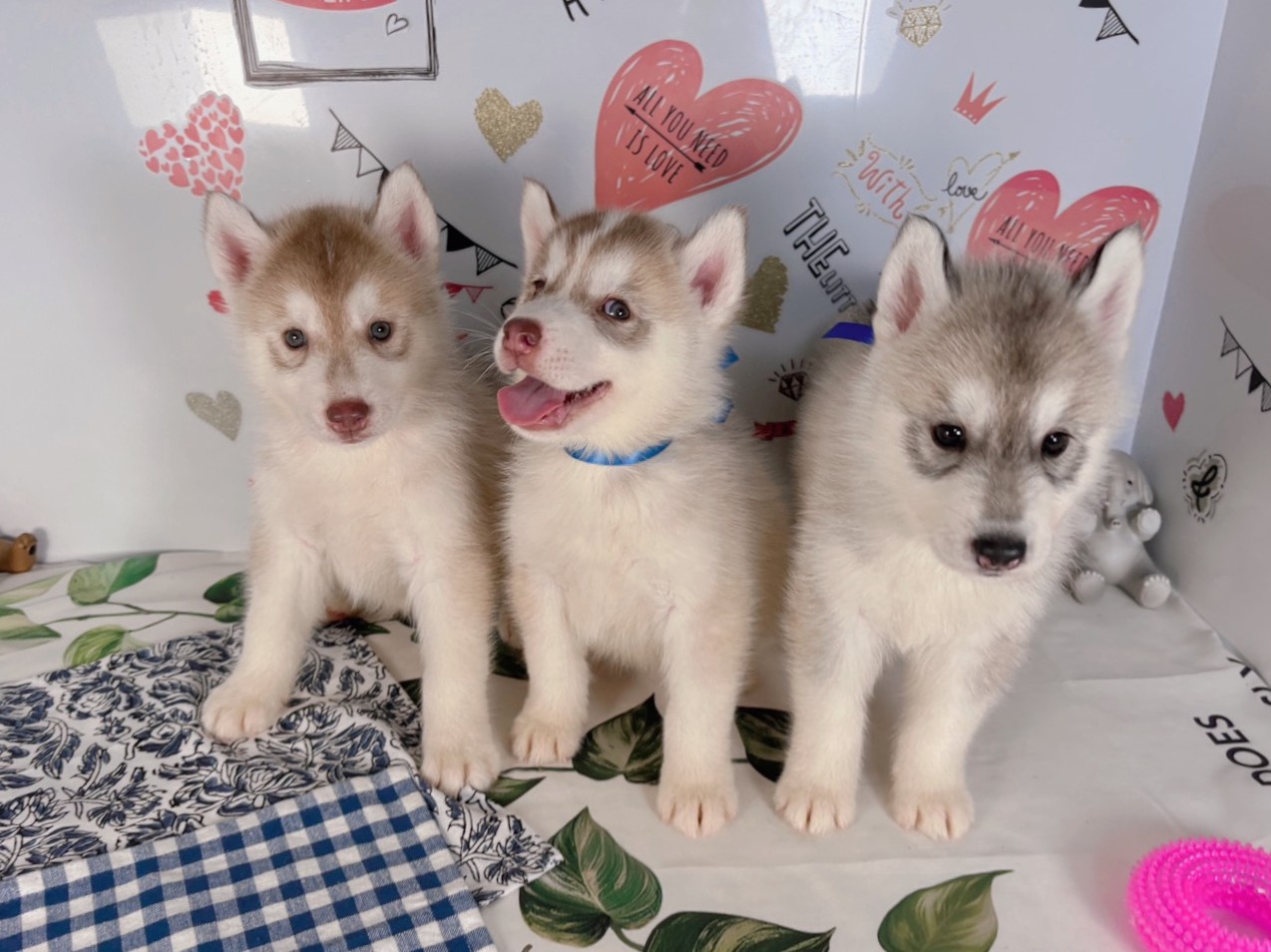 赤ちゃん写真2-3