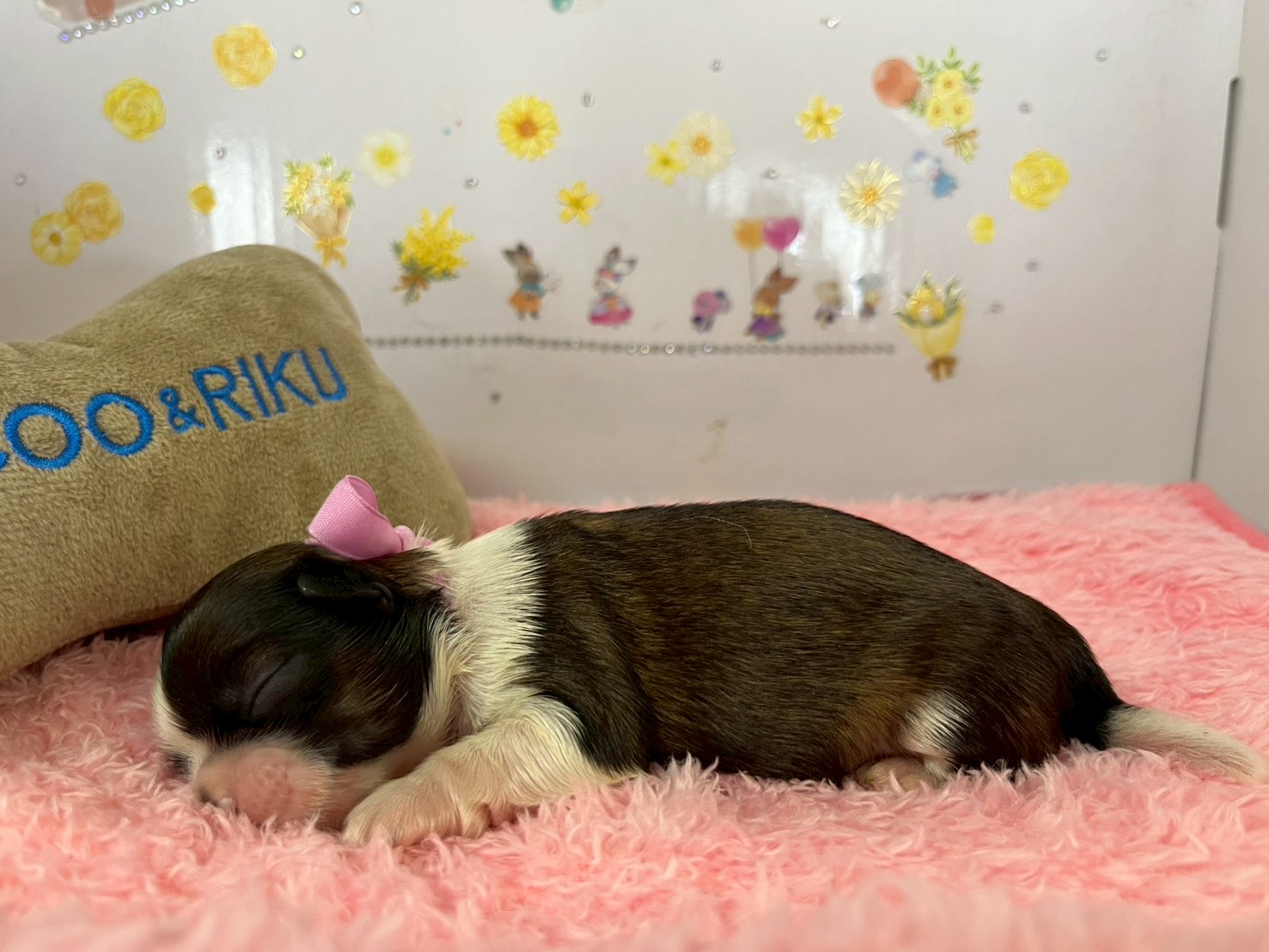 赤ちゃん写真1-2