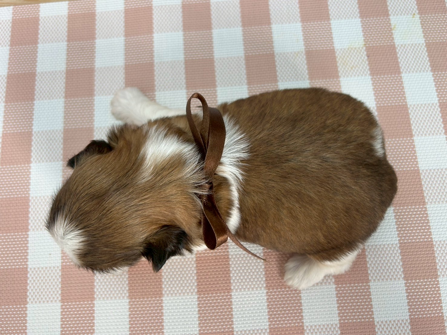 赤ちゃん写真2-3