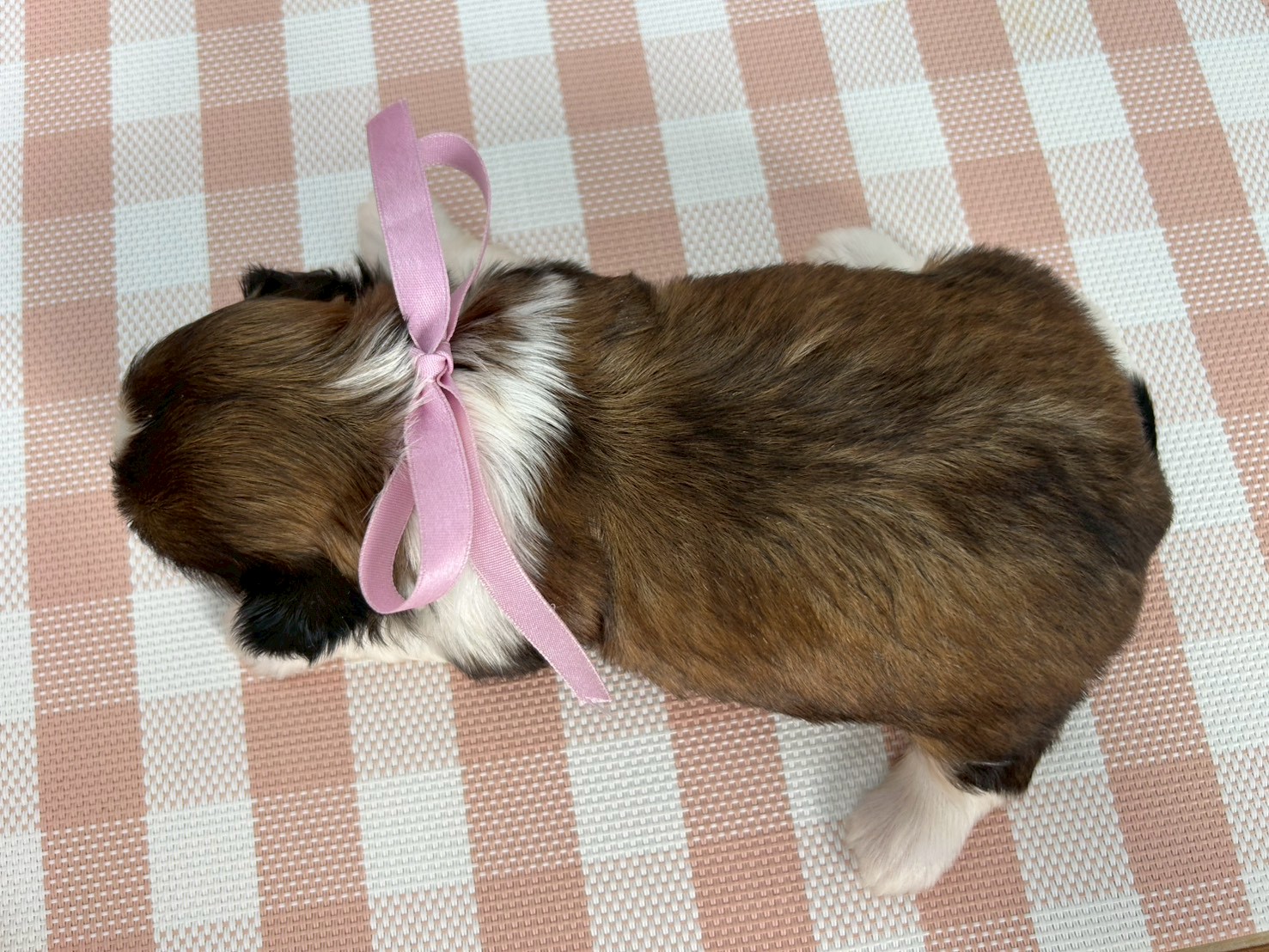 赤ちゃん写真2-3