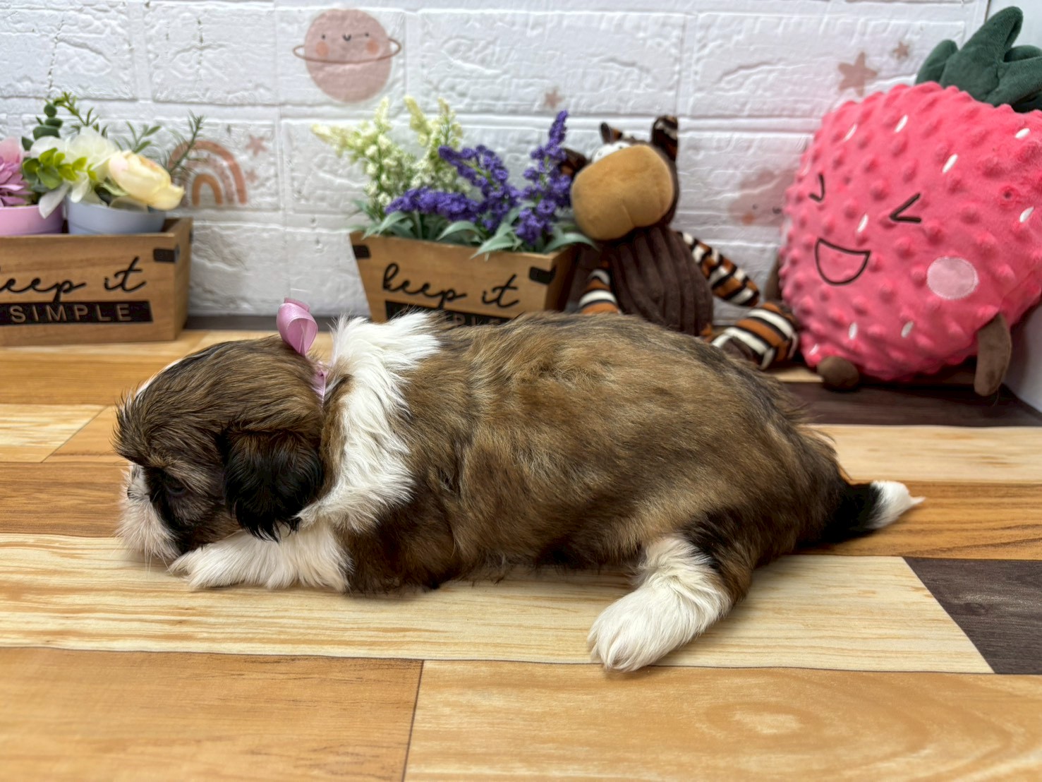 赤ちゃん写真3-2