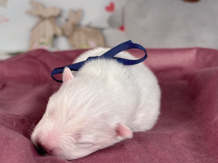 赤ちゃん写真1-1