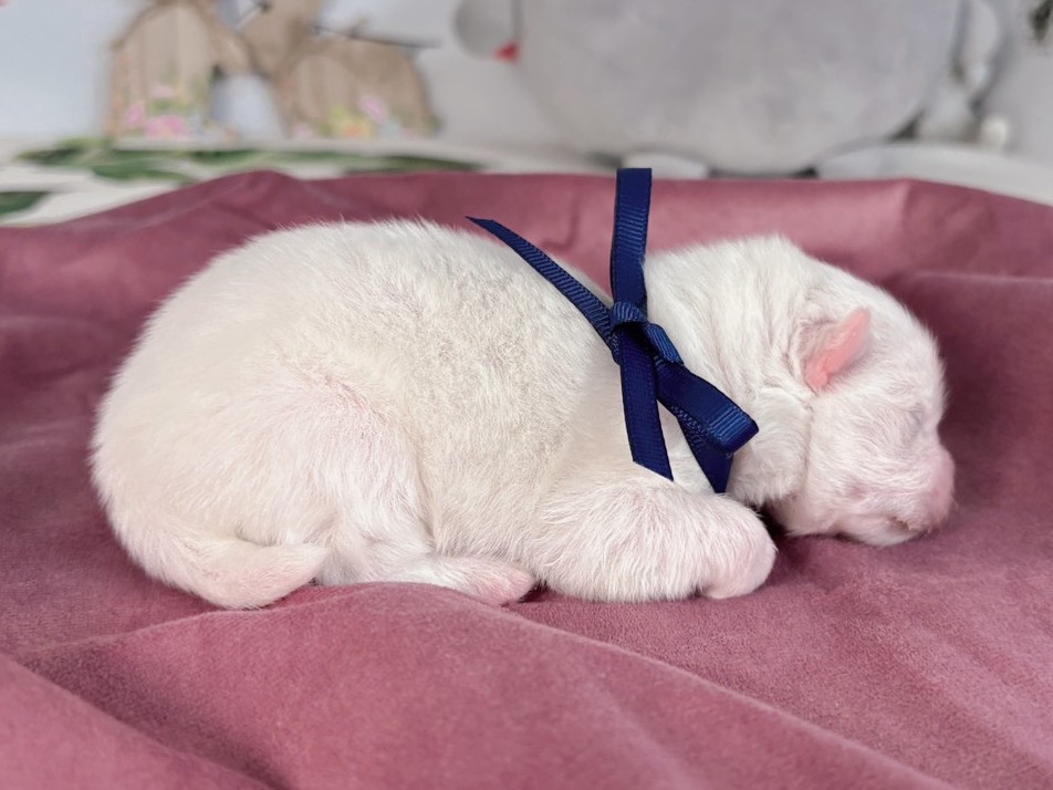 赤ちゃん写真1-2