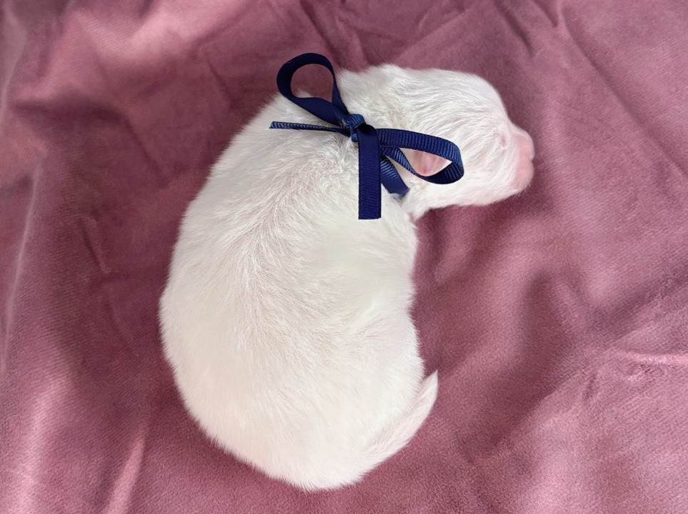 赤ちゃん写真1-3
