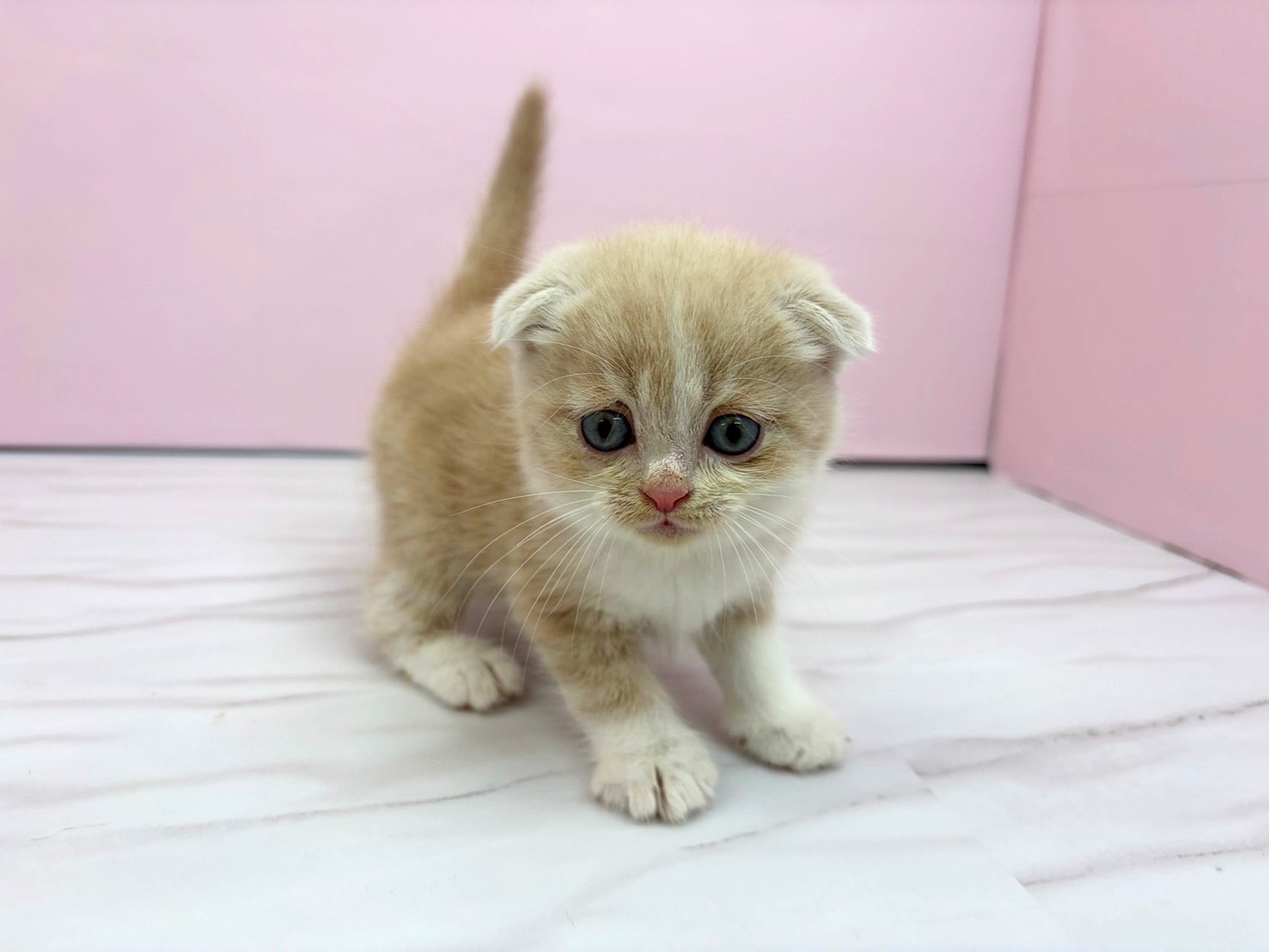 赤ちゃん写真2-1
