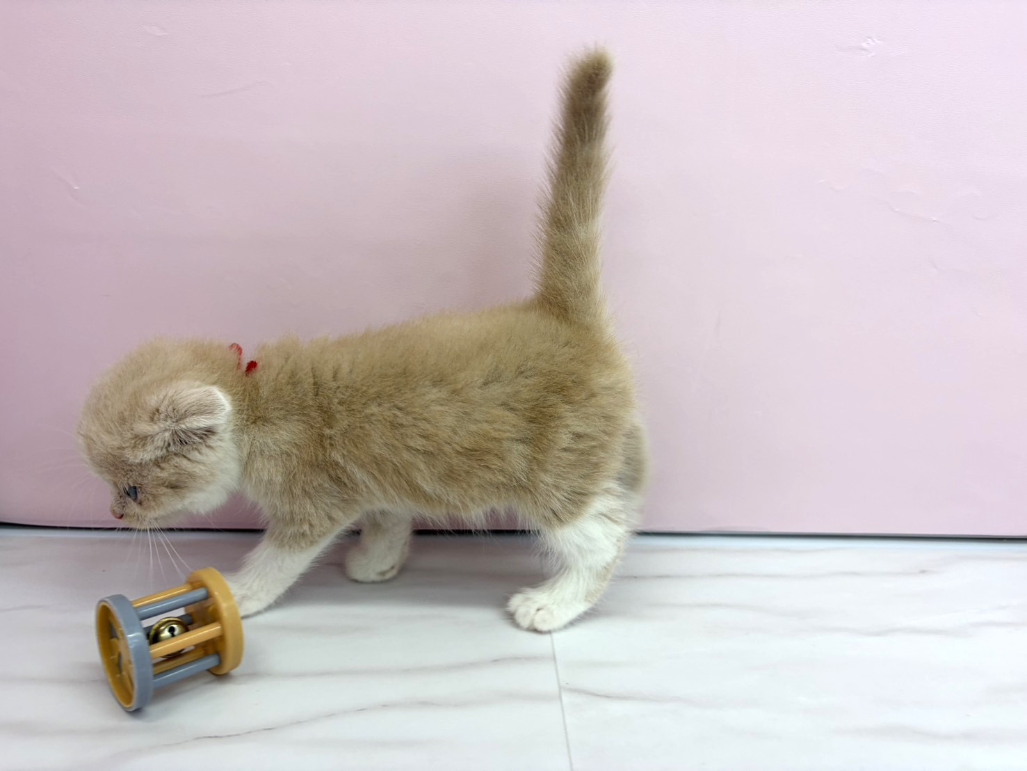 赤ちゃん写真2-2