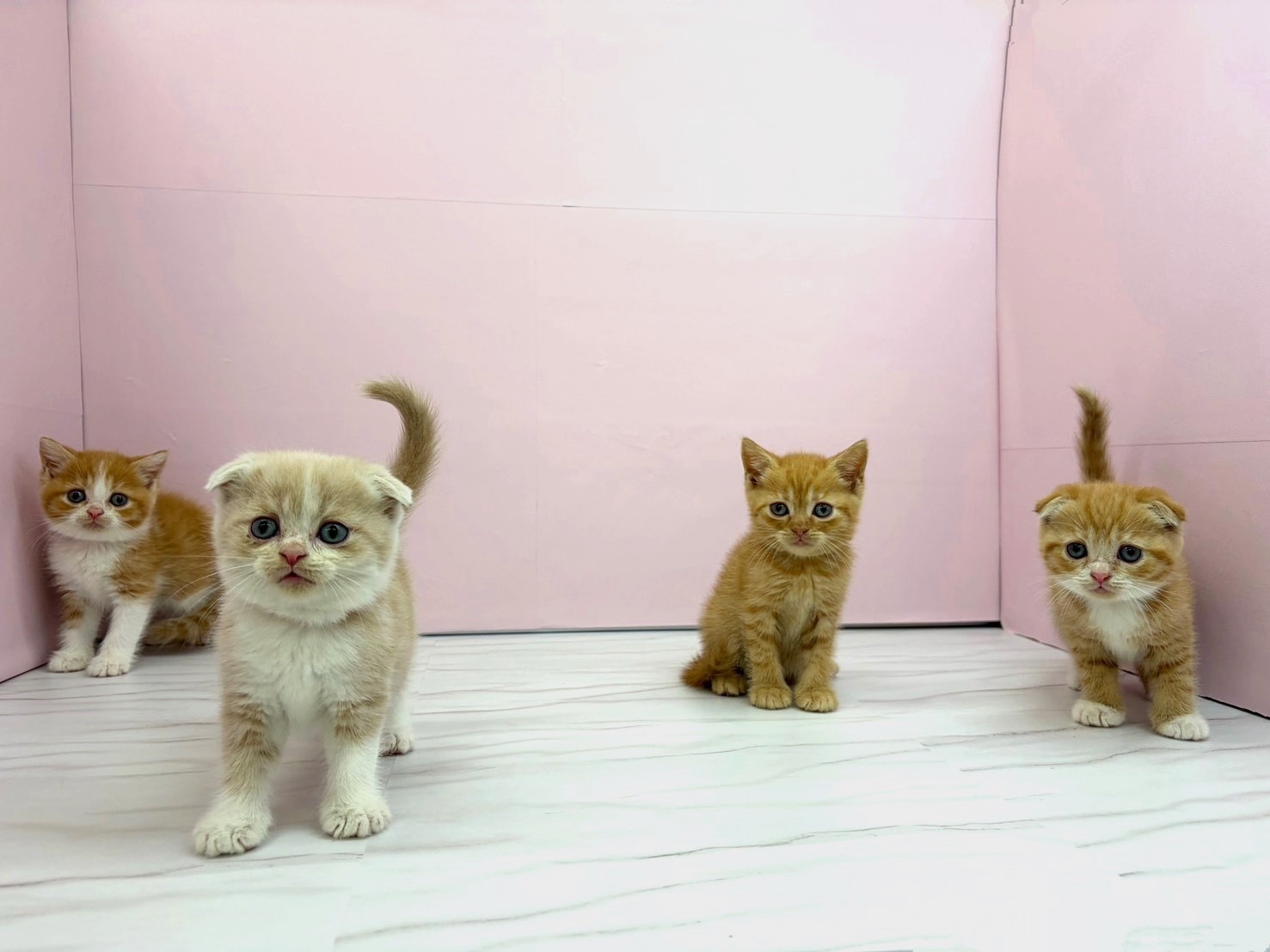 赤ちゃん写真2-3