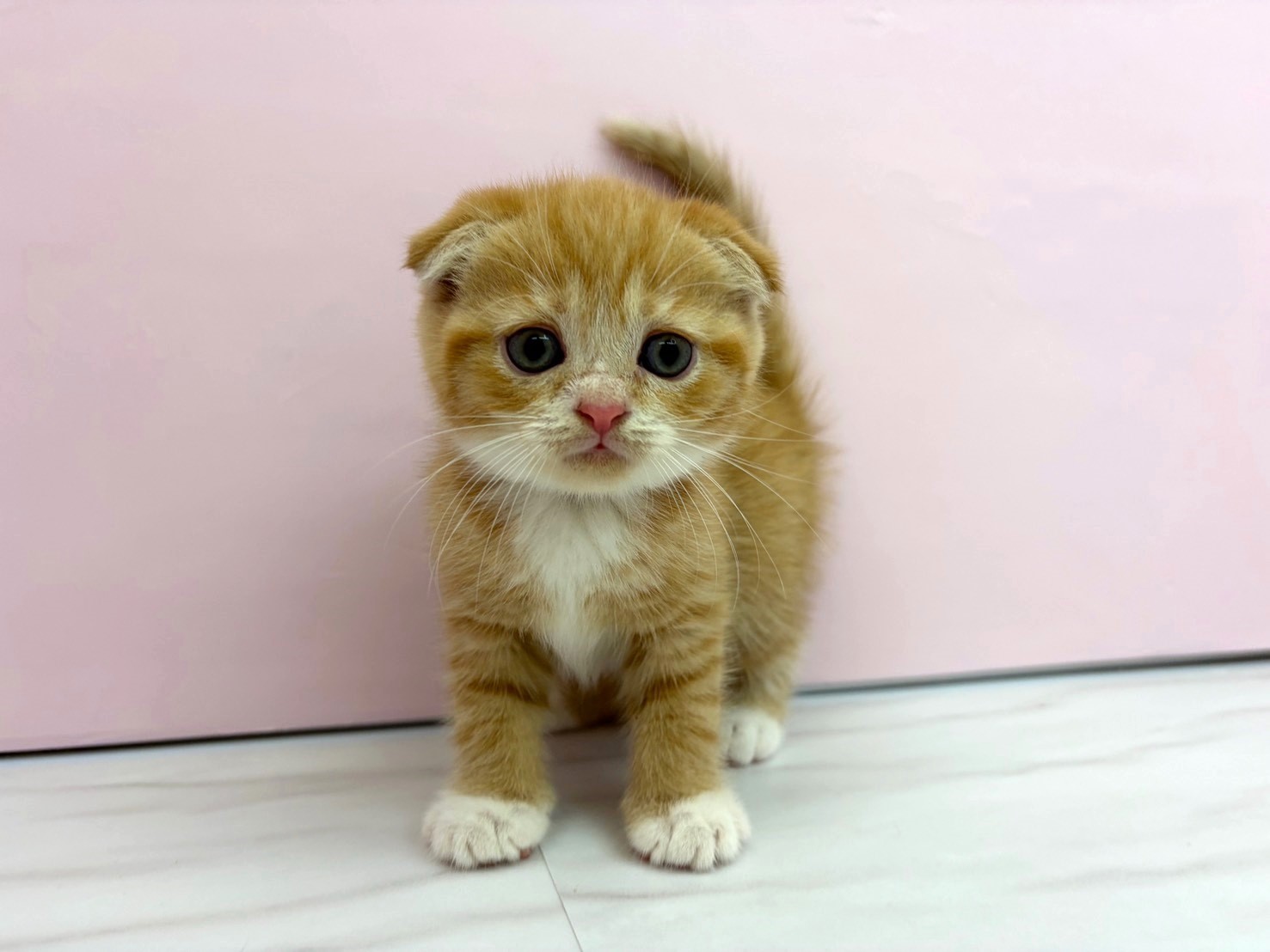 赤ちゃん写真2-1