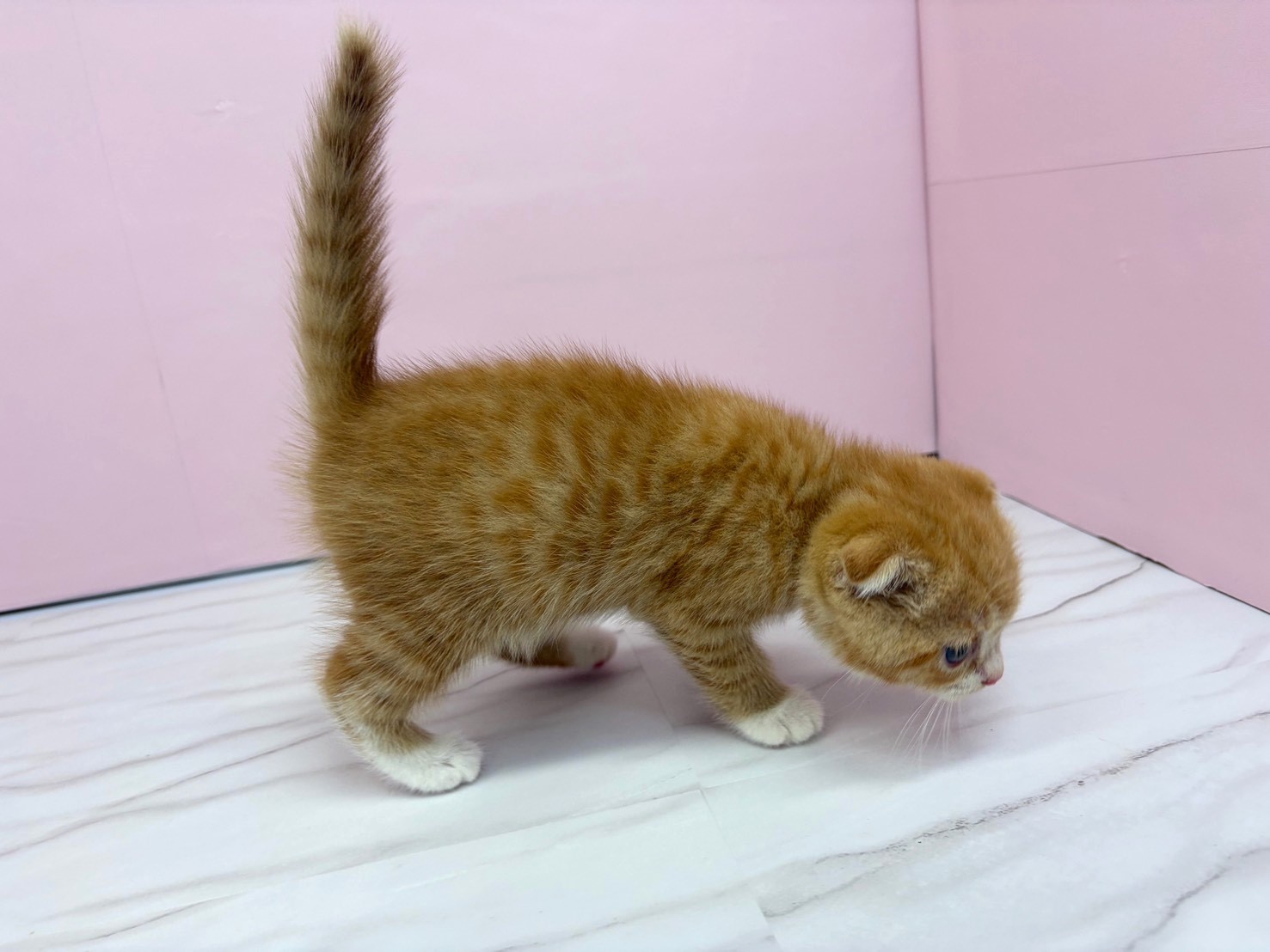 赤ちゃん写真2-2
