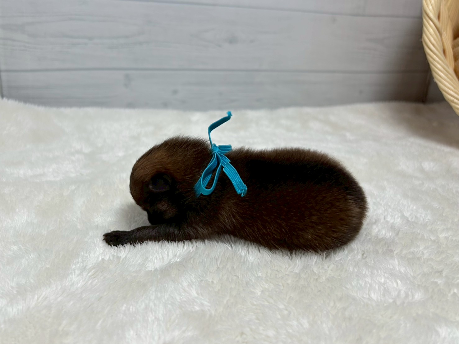 赤ちゃん写真1-2