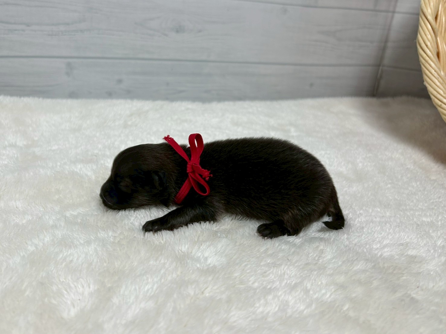 赤ちゃん写真1-2