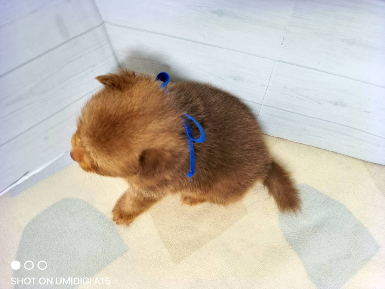 赤ちゃん写真2-3