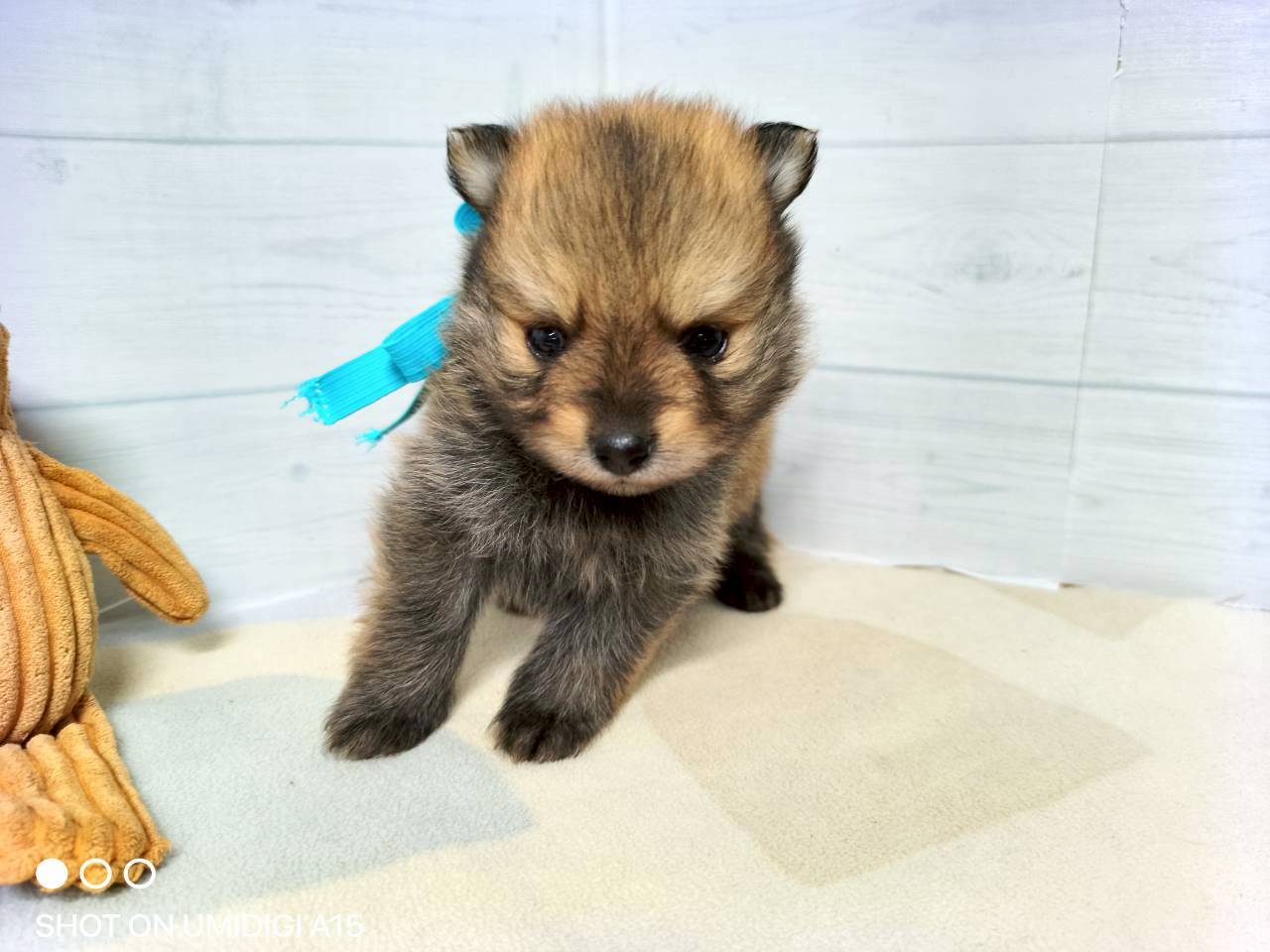 赤ちゃん写真2-1