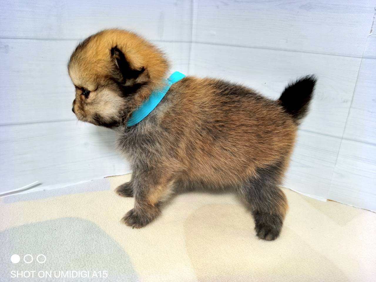 赤ちゃん写真2-2