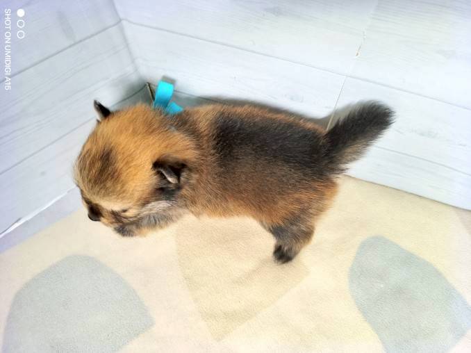 赤ちゃん写真2-3