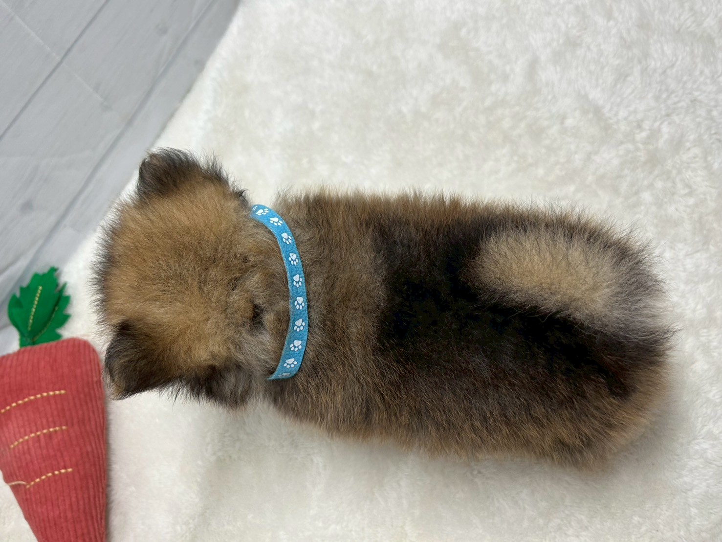 赤ちゃん写真3-3