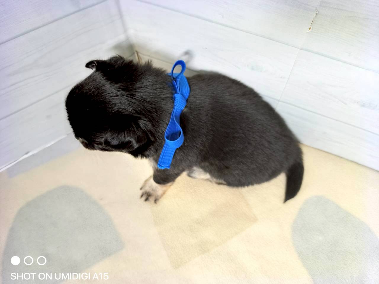 赤ちゃん写真2-3