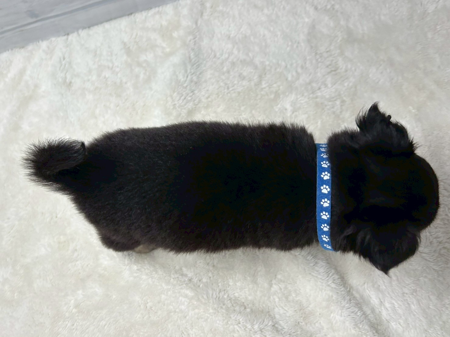 赤ちゃん写真3-3