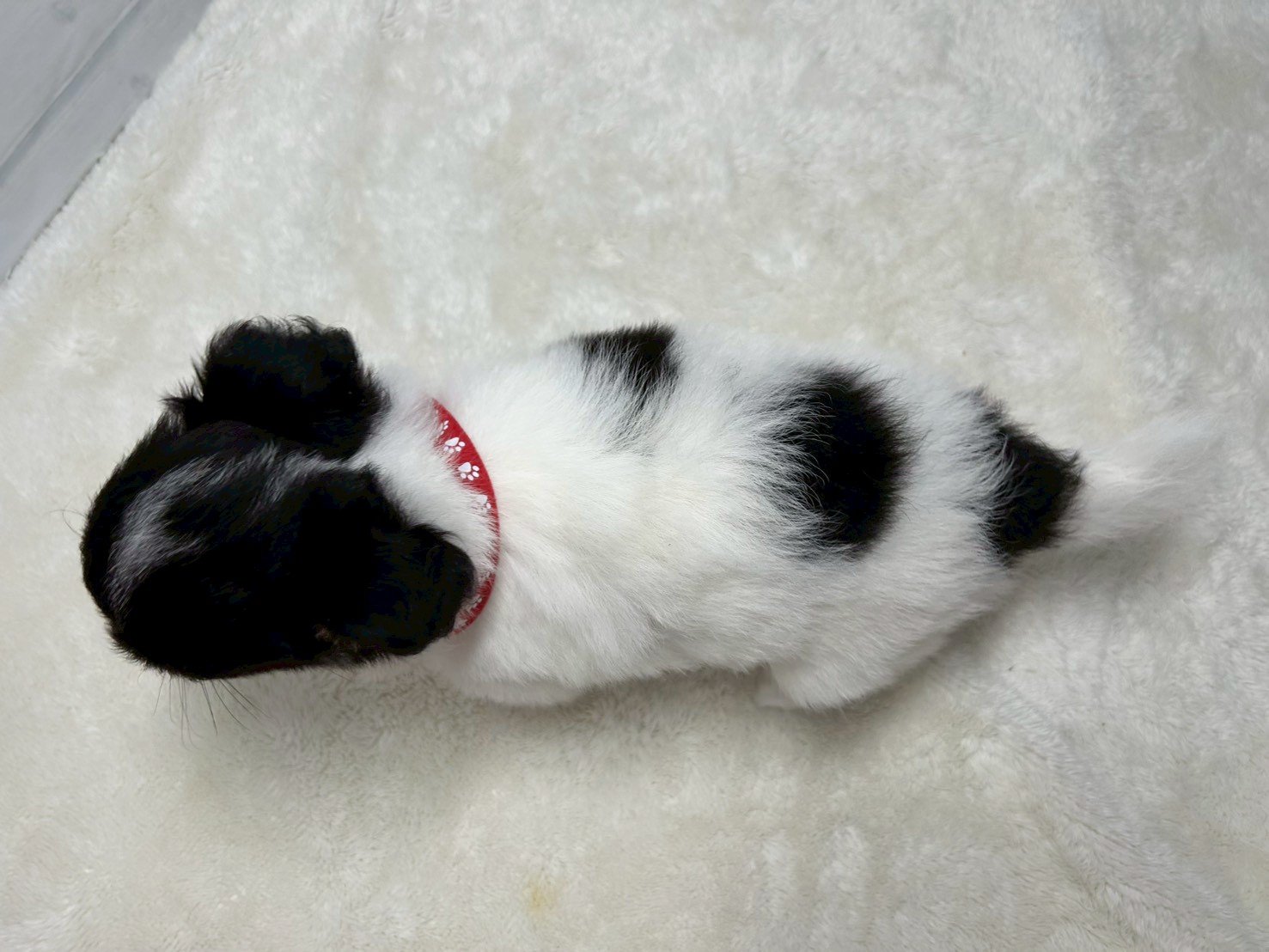 赤ちゃん写真3-3
