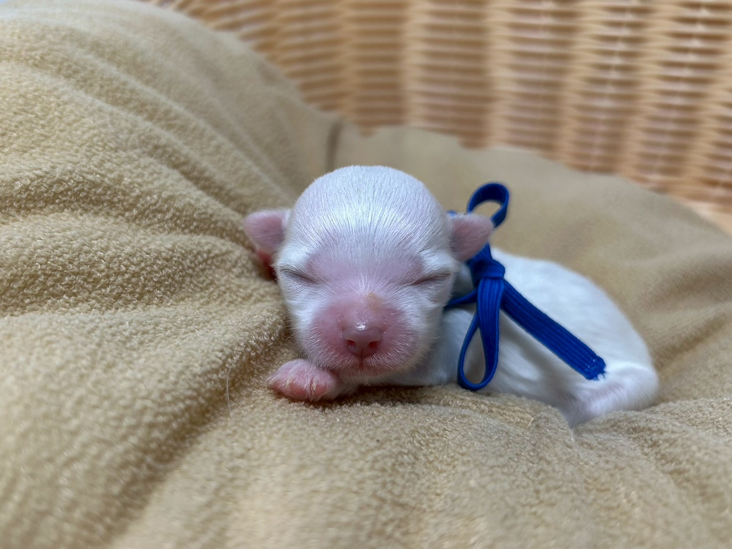 赤ちゃん写真1-1