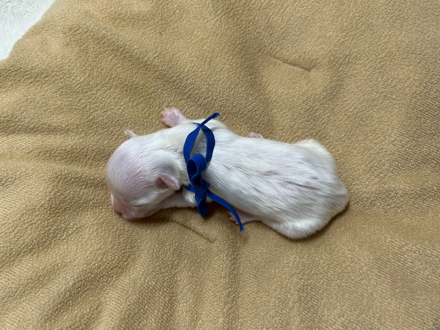 赤ちゃん写真1-3