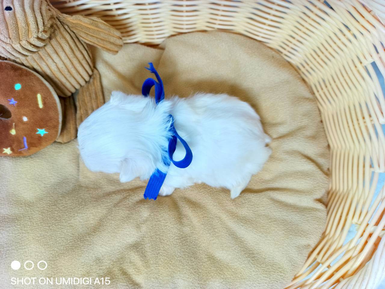 赤ちゃん写真2-3