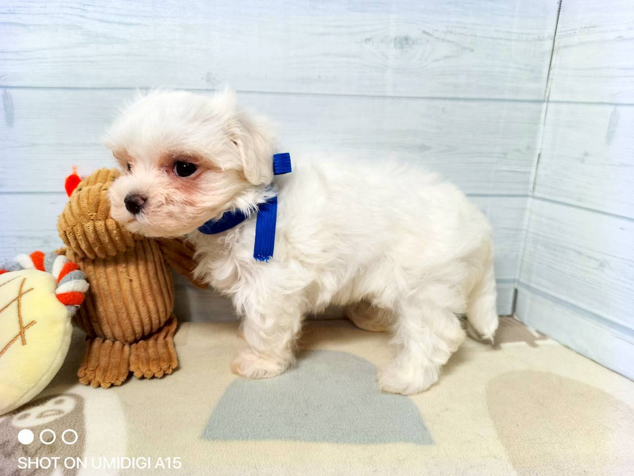 赤ちゃん写真3-2