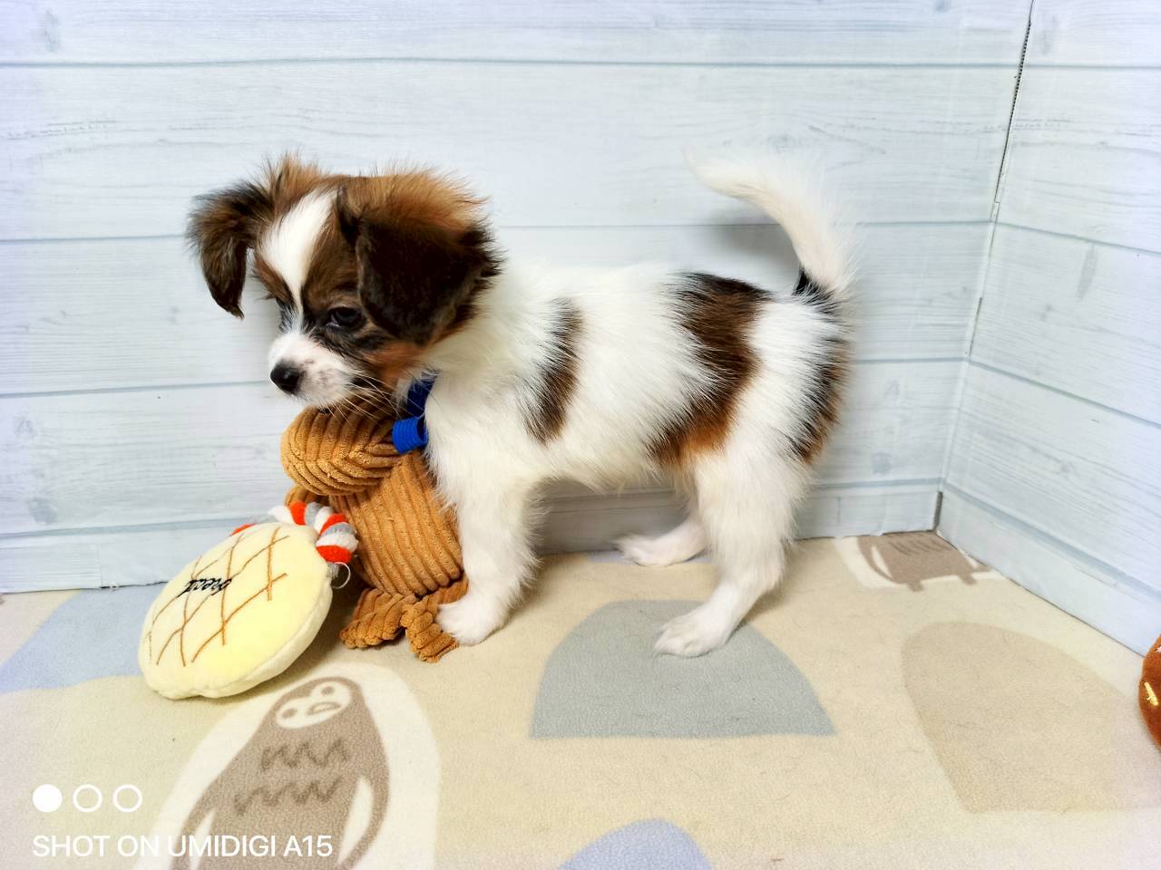 赤ちゃん写真3-2