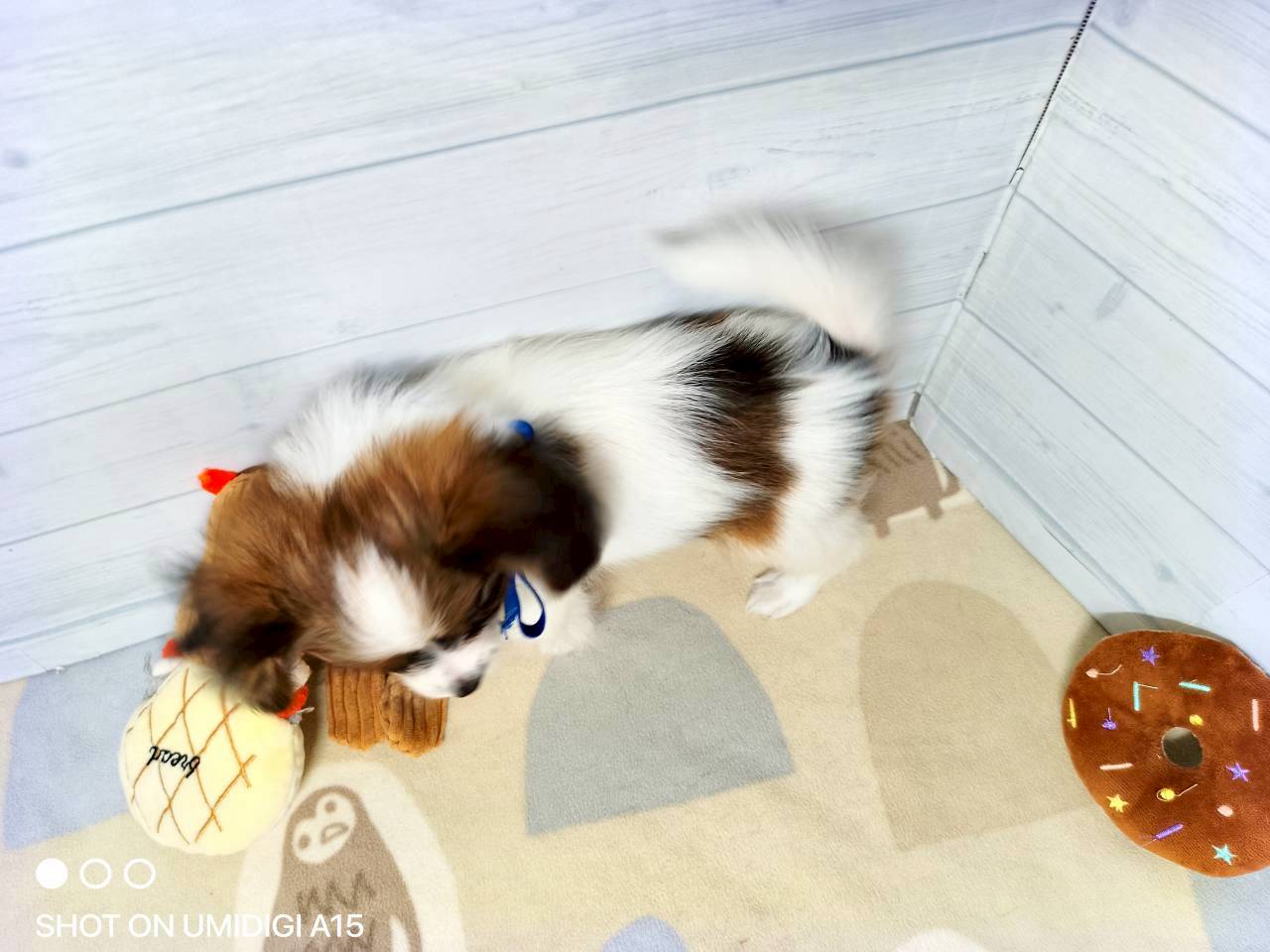 赤ちゃん写真3-3