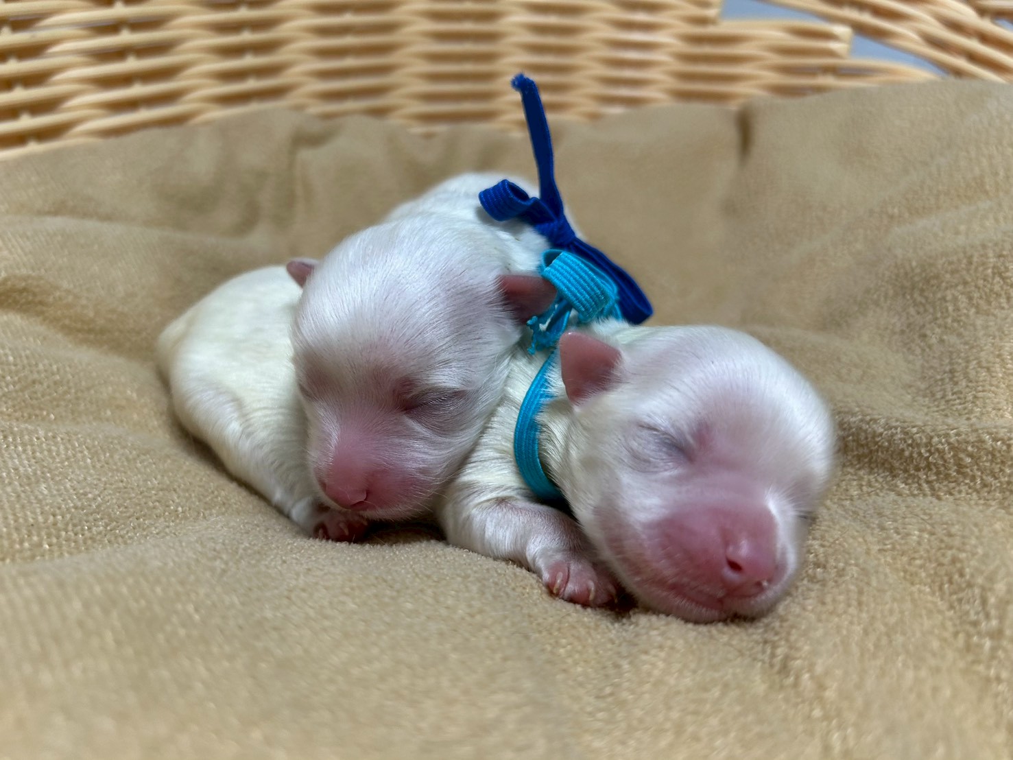 赤ちゃん写真1-3