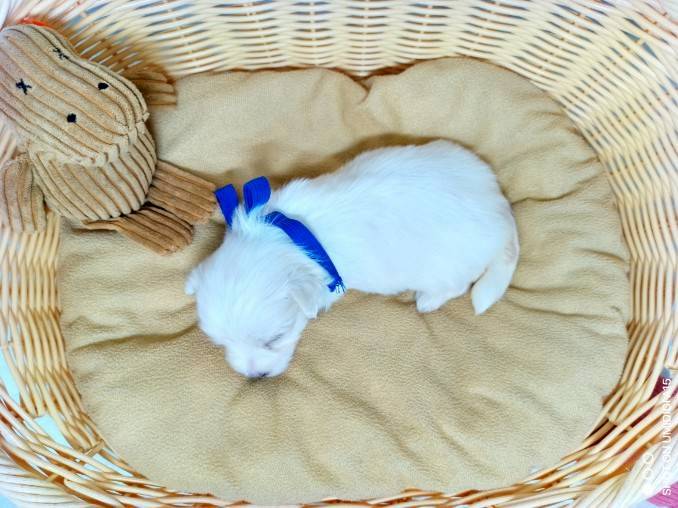 赤ちゃん写真2-3