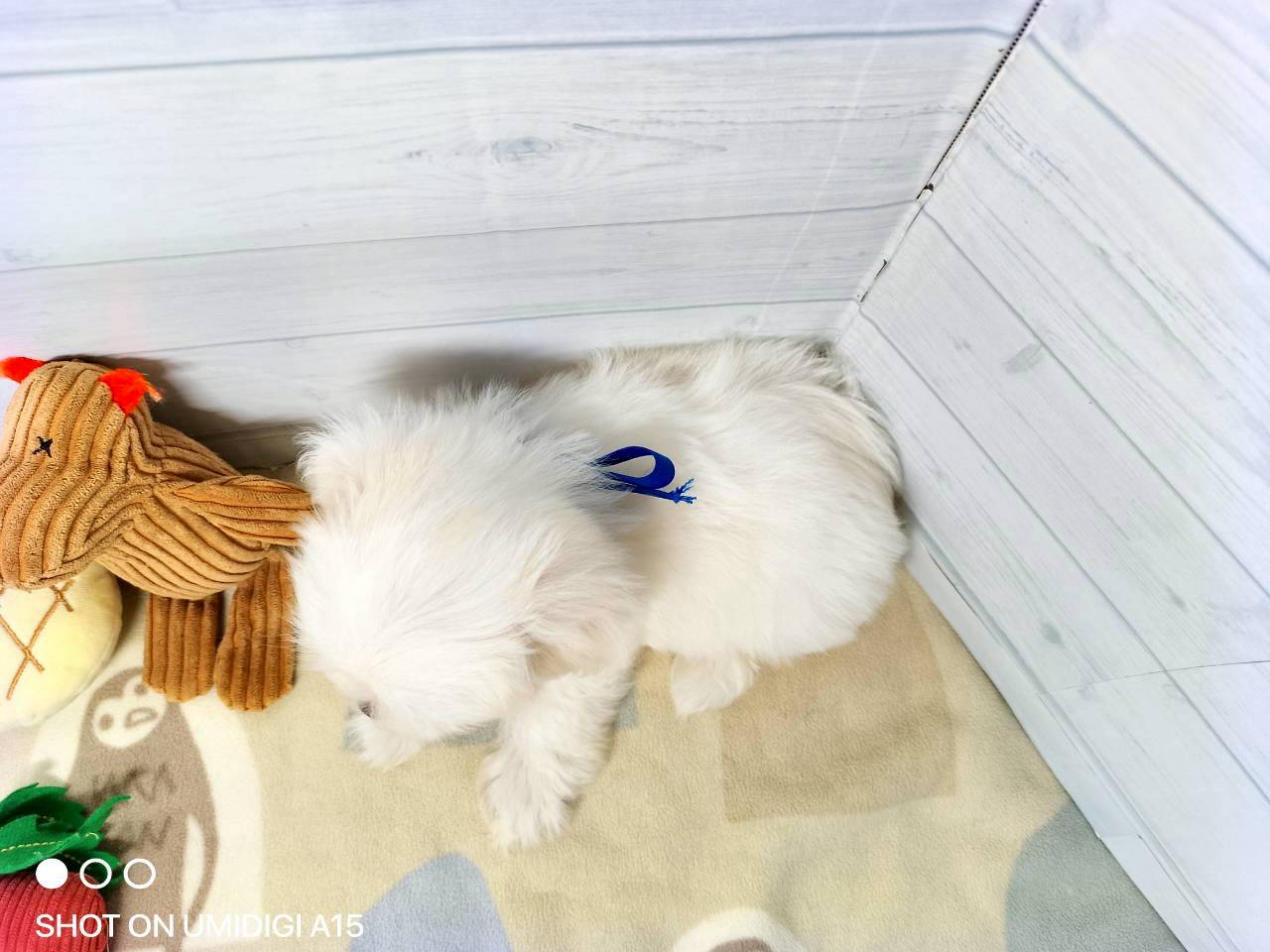 赤ちゃん写真3-3