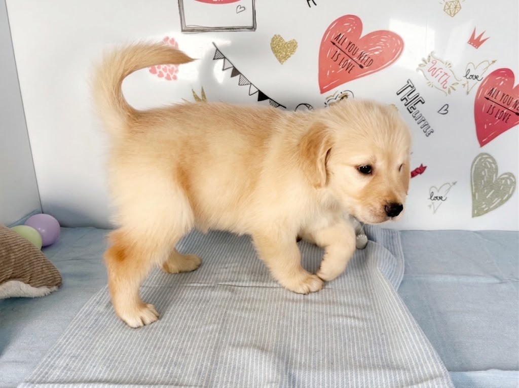 赤ちゃん写真2-2