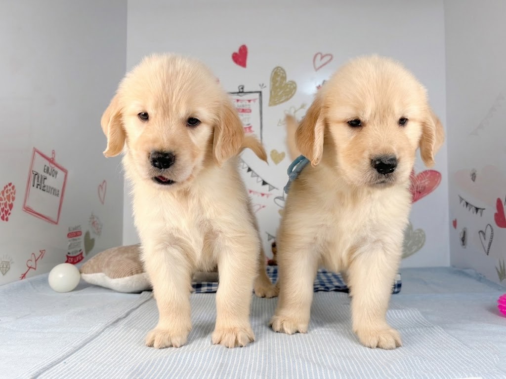 赤ちゃん写真2-3