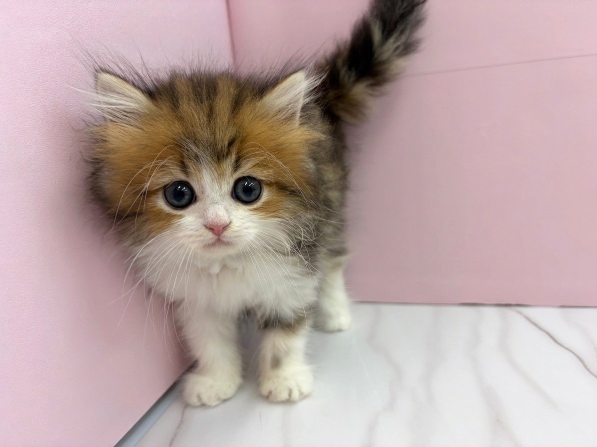赤ちゃん写真2-1