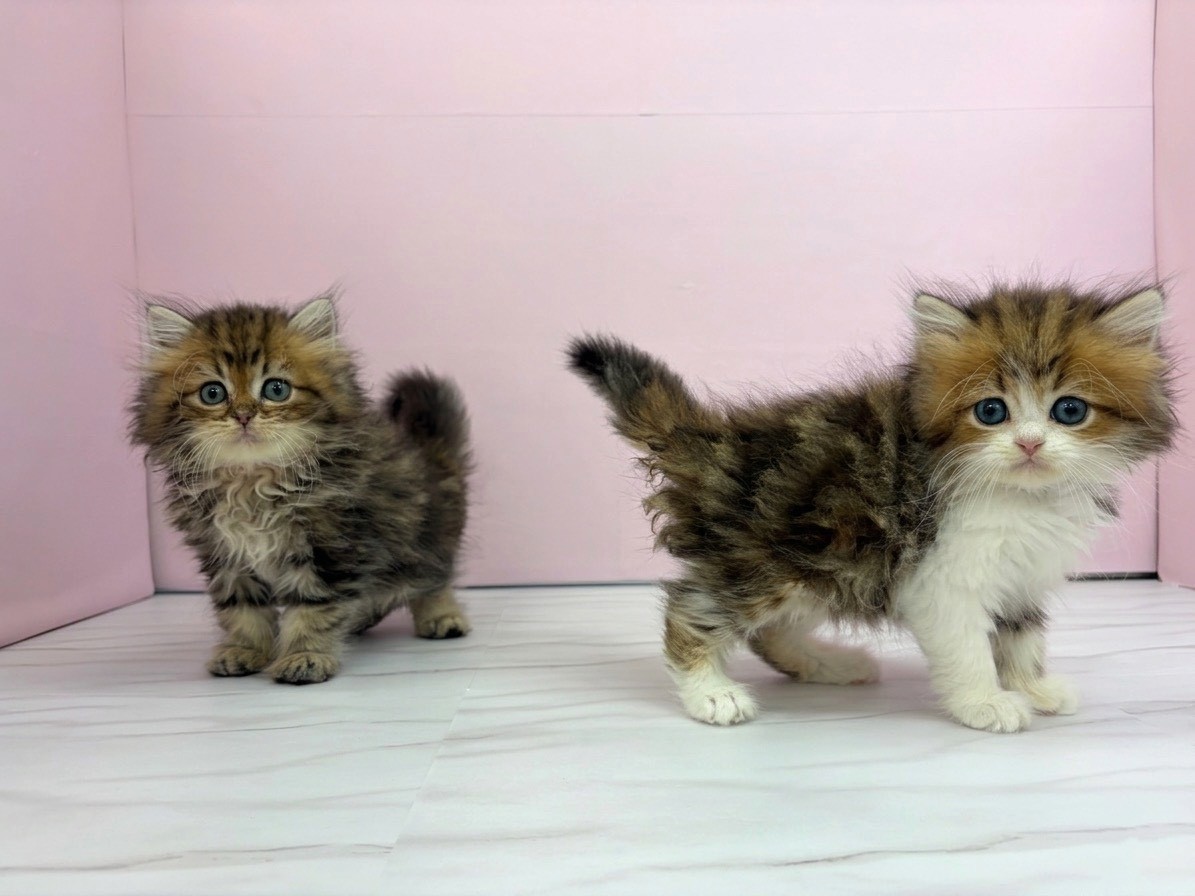 赤ちゃん写真2-3