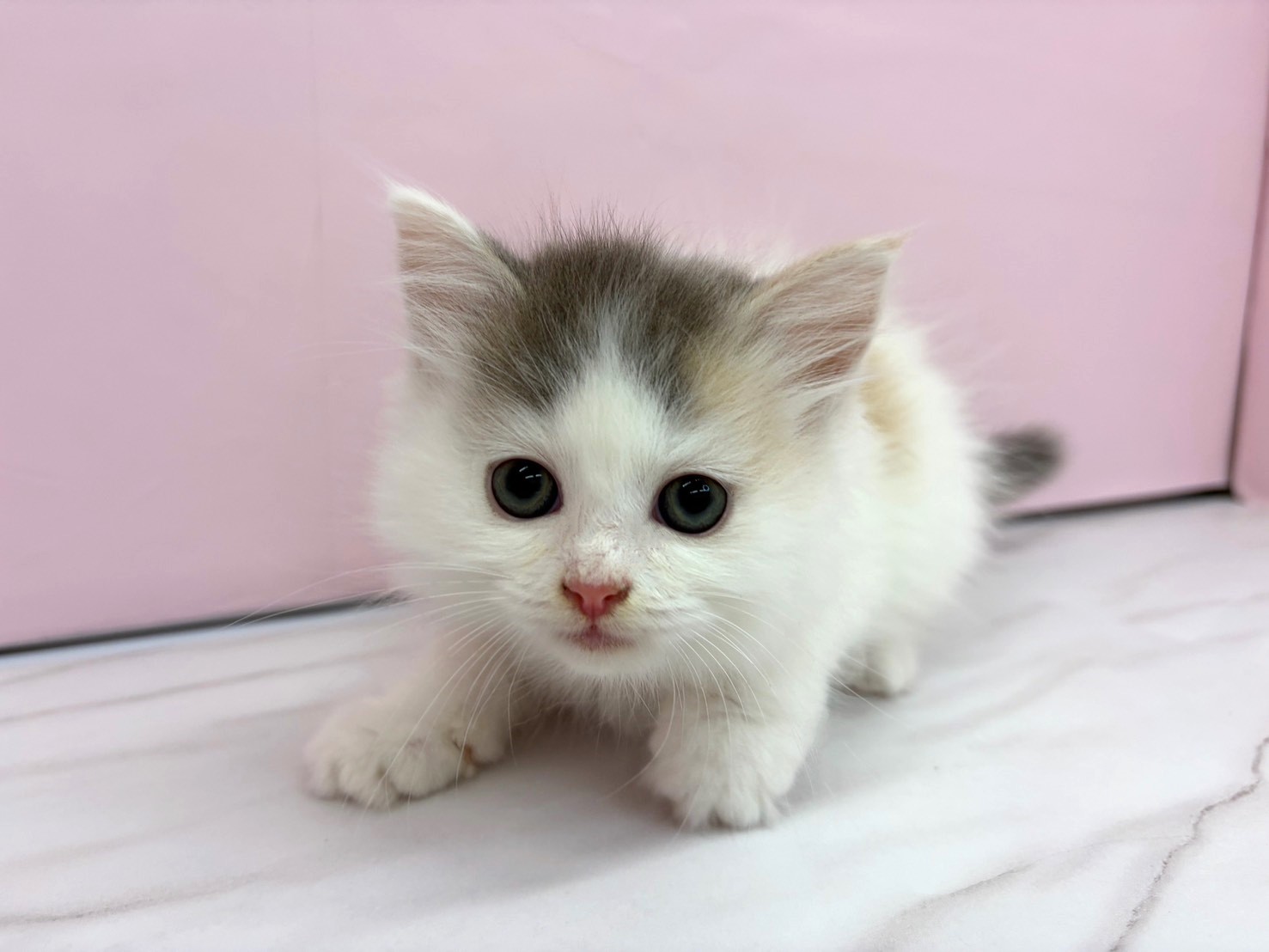 赤ちゃん写真2-1