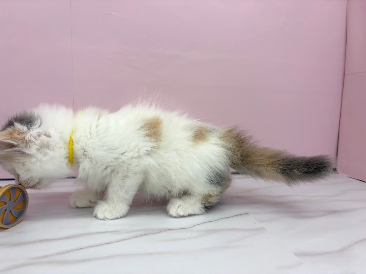 赤ちゃん写真2-2