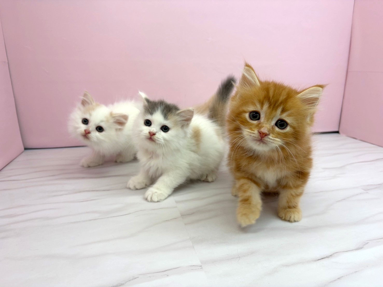赤ちゃん写真2-3