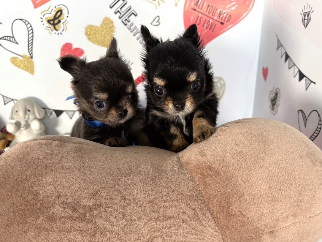 赤ちゃん写真2-3