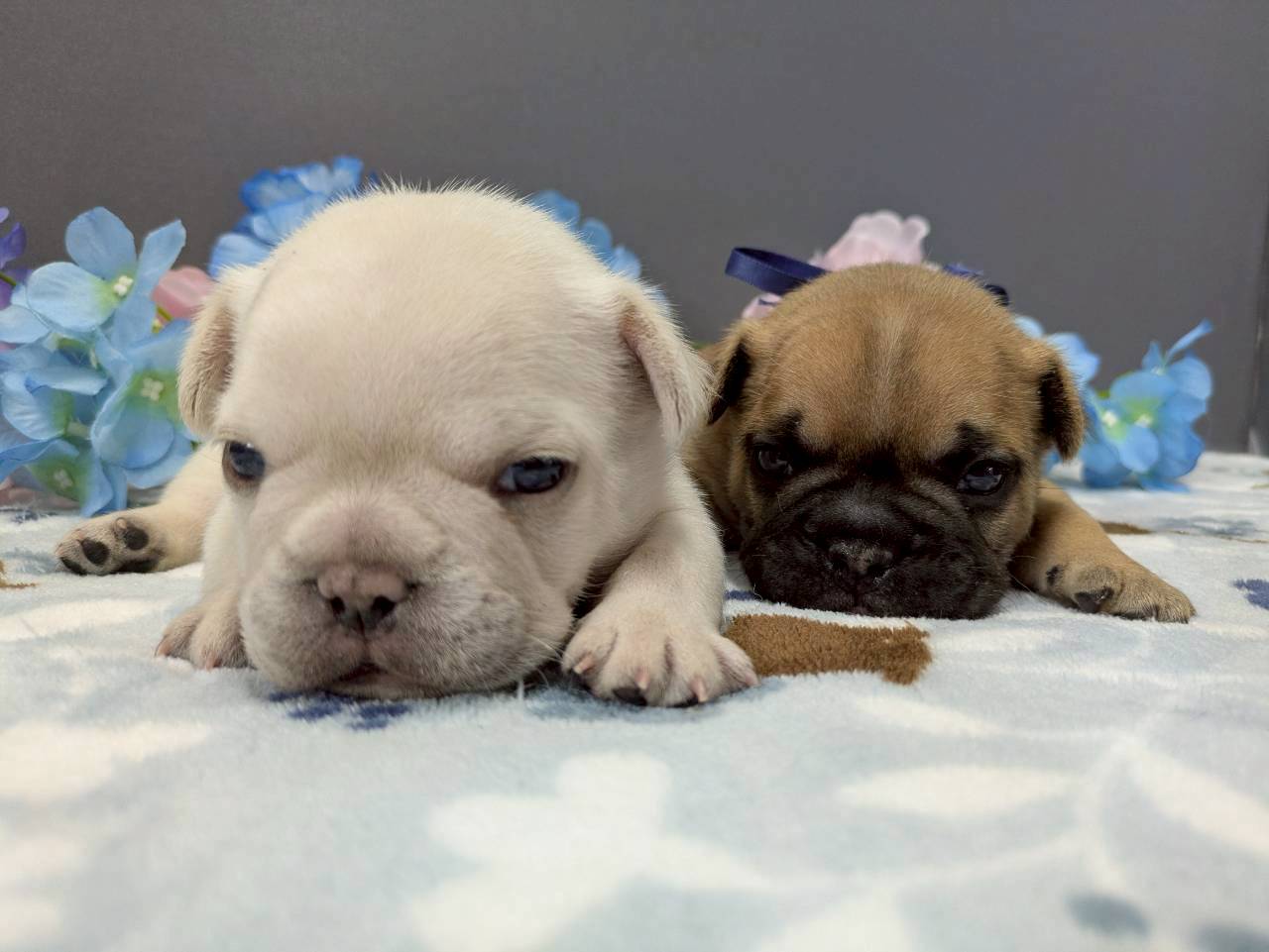 赤ちゃん写真2-3