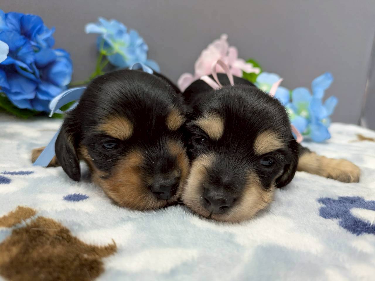 赤ちゃん写真2-3