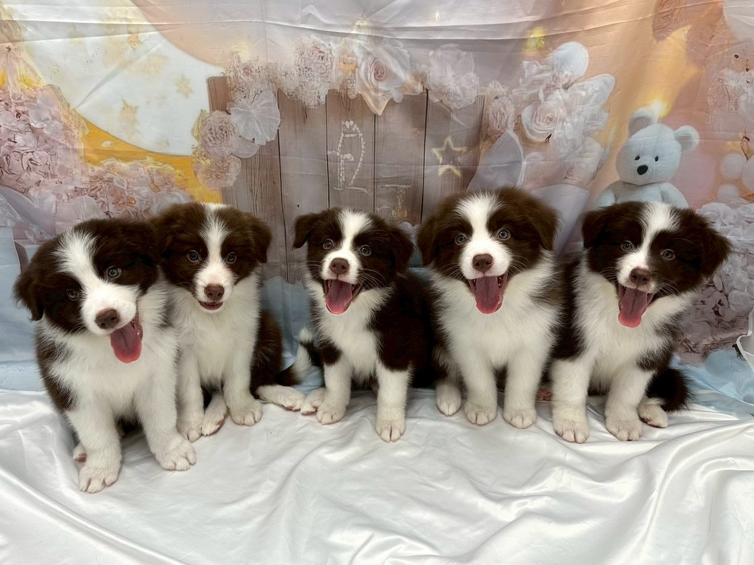 赤ちゃん写真3-3
