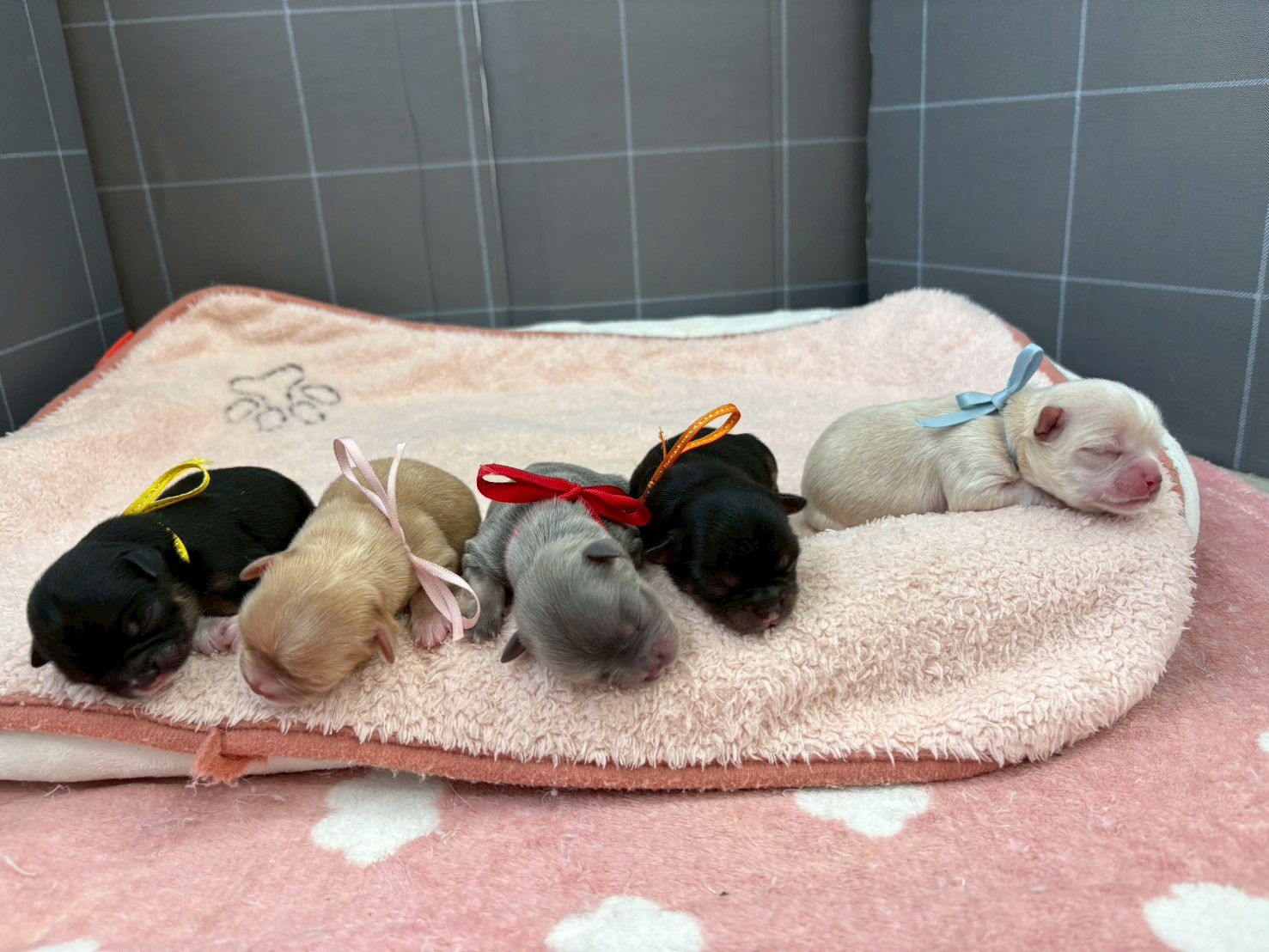 赤ちゃん写真1-3