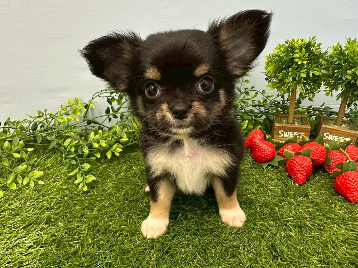 赤ちゃん写真3-1
