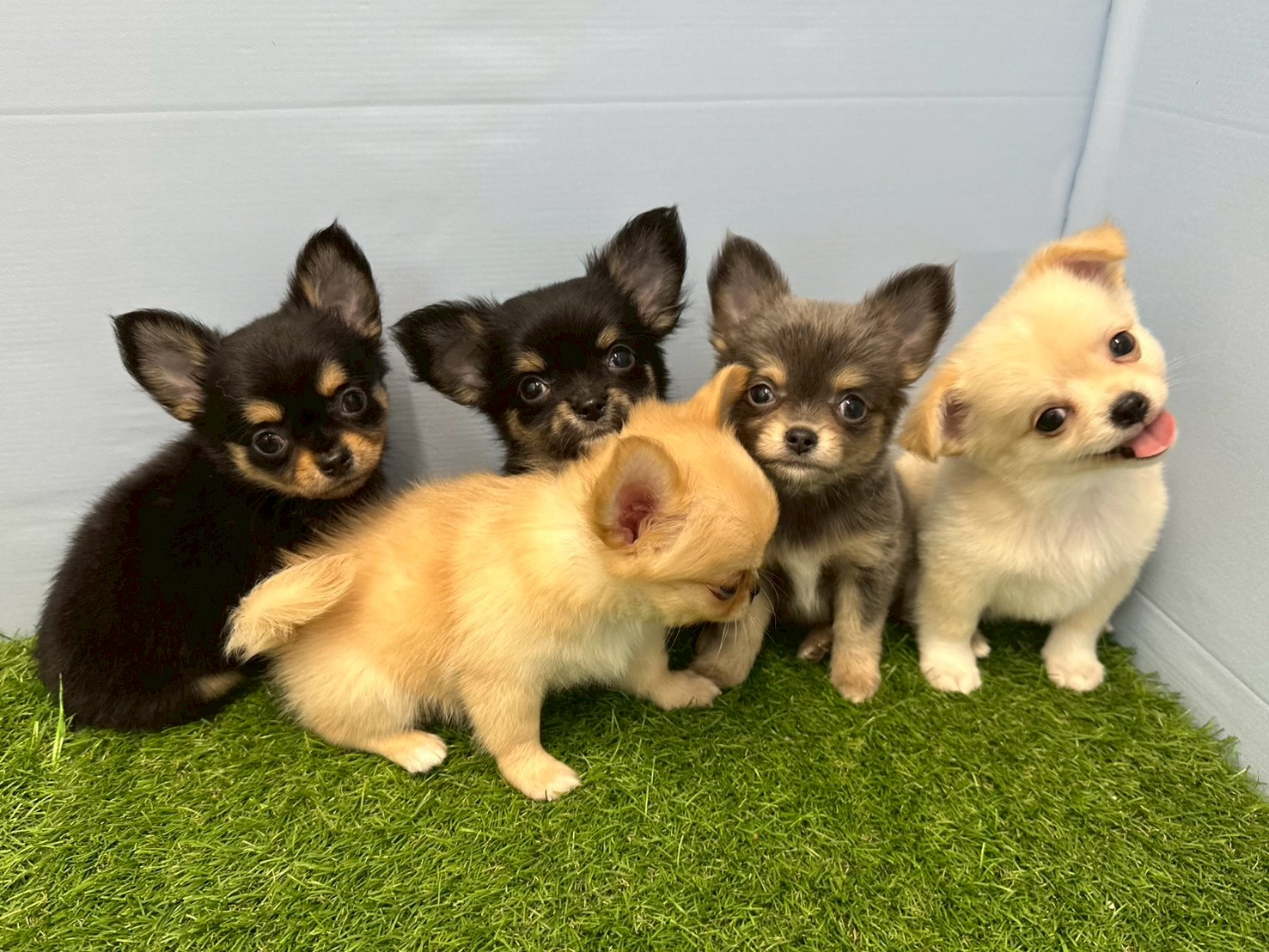 赤ちゃん写真3-3
