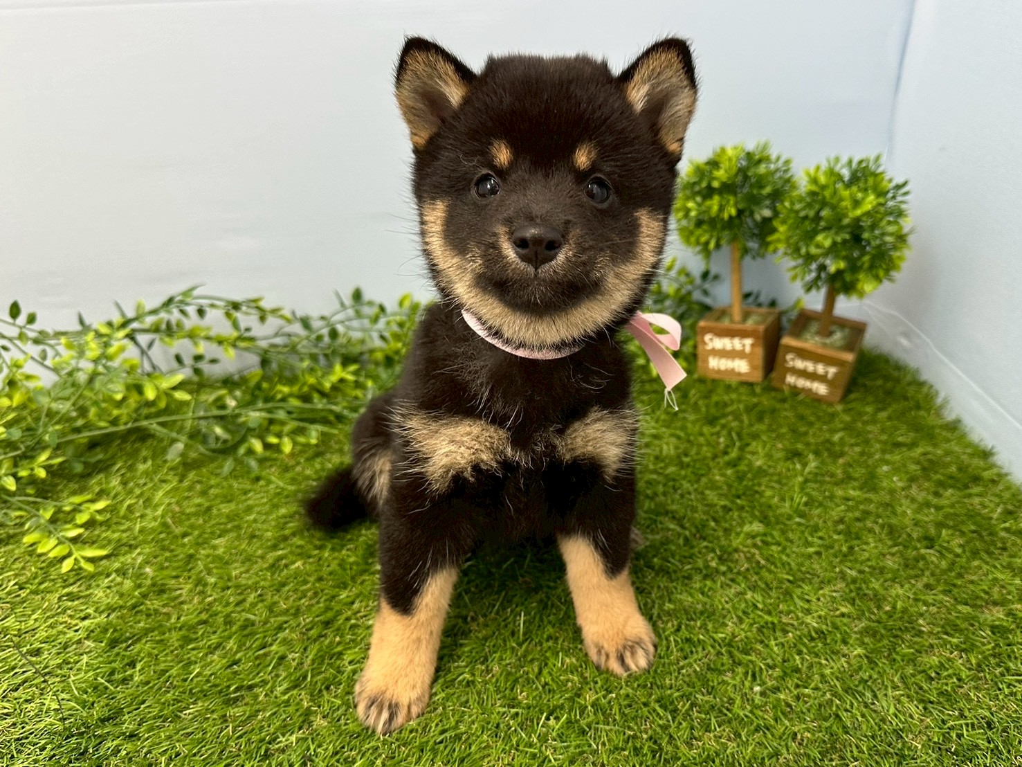 赤ちゃん写真3-1