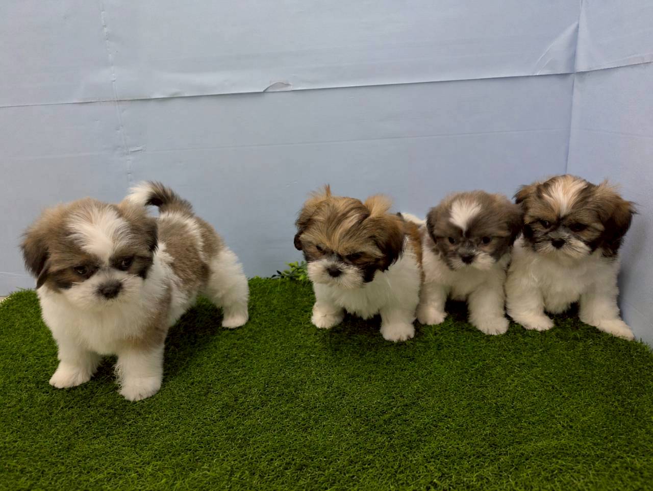 赤ちゃん写真3-3