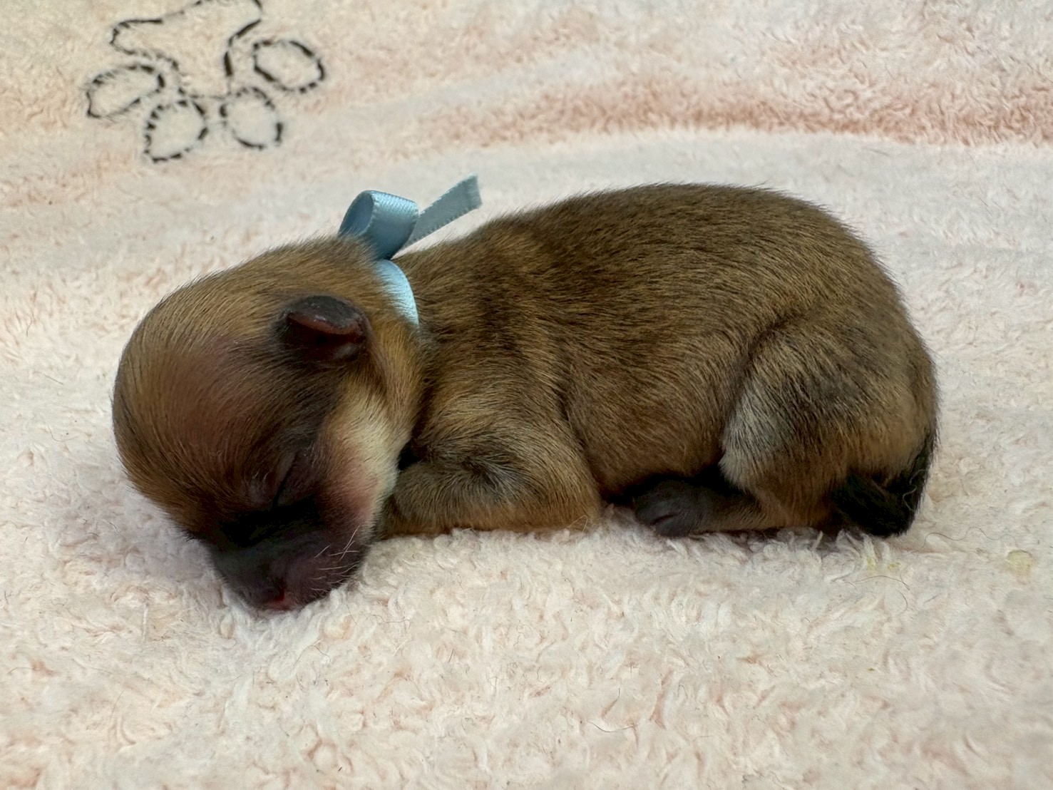 赤ちゃん写真1-2